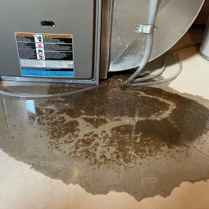 Appliance Leak Cleanup in Punta Gorda Isles, FL